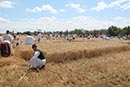 16. Őseink Zenéje 2018. január 20. Szenttamás